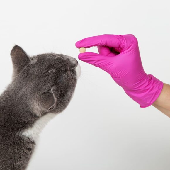 iStock-1269459306 (1)