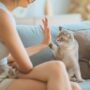 vermifuge_chat_13
